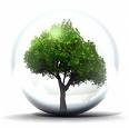 umwelt